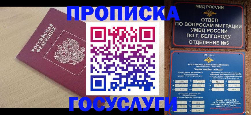 прописка законно в Бийске
